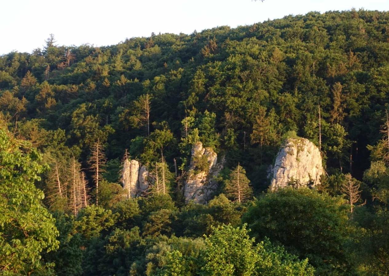 Fewo Lehner Riedenburg Zewnętrze zdjęcie